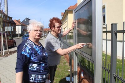 Auch die Schauk&auml;sten der Stadt Ziesar wurden gereinigt.  Sie werden oftmals f&uuml;r Schmierereien verwendet.  (Bild vergr&ouml;&szlig;ern)