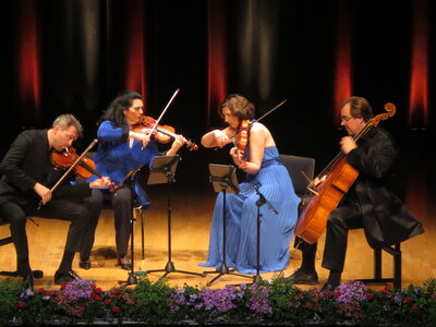 Foto des Albums: Gropius Quartett