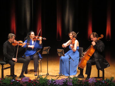 Foto des Albums: Gropius Quartett