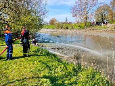 Foto des Albums: Schlickspülen an der Fähre Kronsnest
