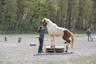 Foto des Albums: ExtremeTrail