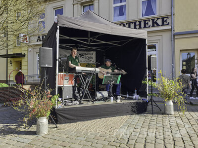 Foto des Albums: Trubel beim Pritzwalker Frühlingserwachen