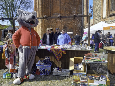 Foto des Albums: Trubel beim Pritzwalker Frühlingserwachen