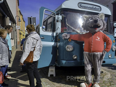 Foto des Albums: Trubel beim Pritzwalker Frühlingserwachen
