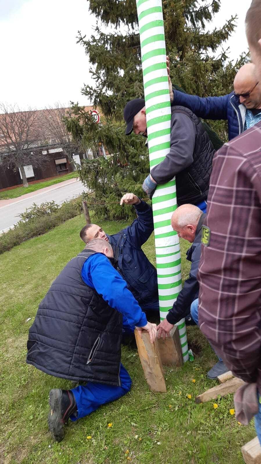 Bild : Aufstellen Maibaum 2023