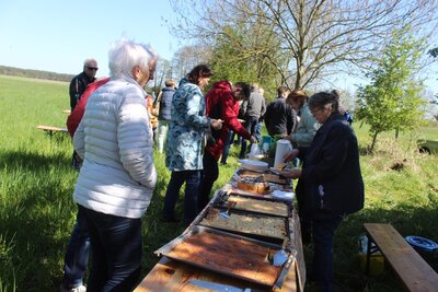 Foto des Albums: Wanderung zur Schachbrettblumenwiese