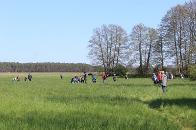 Foto des Albums: Wanderung zur Schachbrettblumenwiese