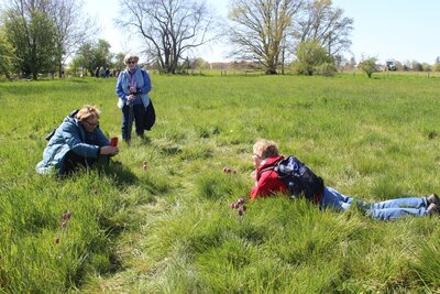 Foto des Albums: Wanderung zur Schachbrettblumenwiese