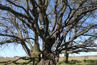 Foto des Albums: Wanderung zur Schachbrettblumenwiese
