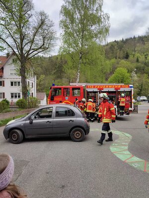 Foto des Albums: Schauübung 30.04.2023