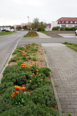 Vorschaubild: Wilhelm-Pieck-Straße