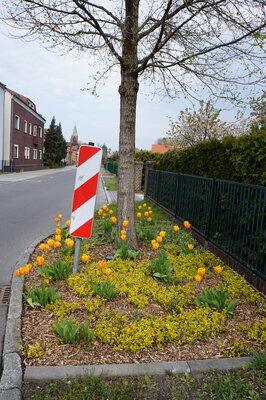 Vorschaubild: Friedhofstraße