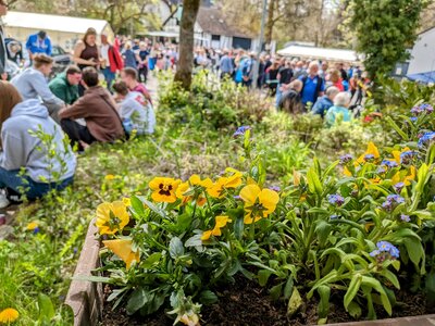 Foto des Albums: 1. Mai Feier 2023