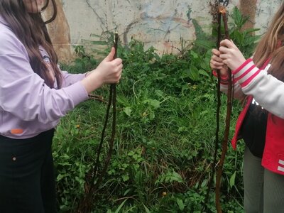 Foto des Albums: Hochbeet