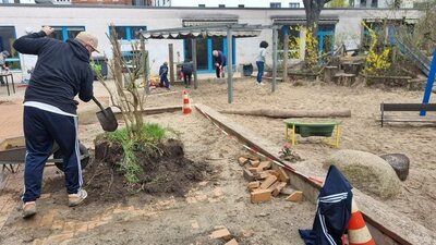 Foto des Albums: Garteneinsatz der Kita Pfiffikus