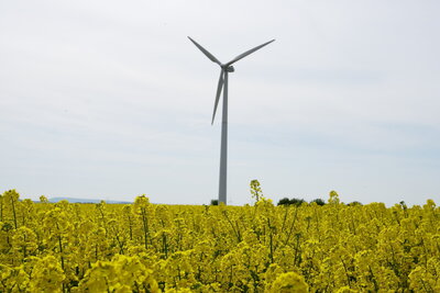 Fast geschafft - Deister in der Ferne  (Bild vergr&ouml;&szlig;ern)