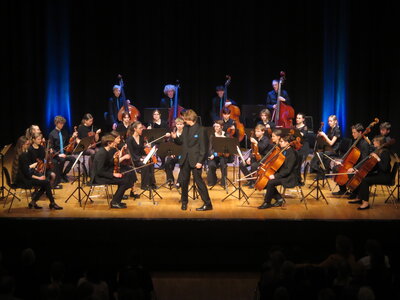 Foto des Albums: Deutsche Streicherphilhar monie