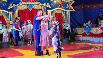 Foto des Albums: Zirkus 2023