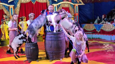 Foto des Albums: Zirkus 2023
