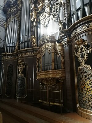 Foto des Albums: SHG Domführung 2019 und 2023
