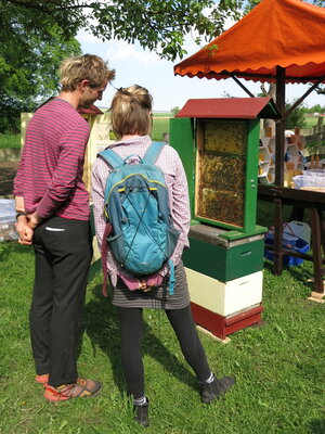 Foto des Albums: Töpfermarkt 2023