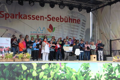Bild 7 von 12  (Bild vergr&ouml;&szlig;ern)