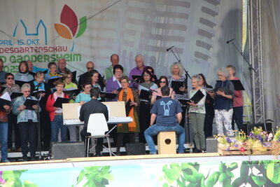 Bild 8 von 12  (Bild vergr&ouml;&szlig;ern)