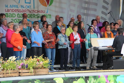 Bild 9 von 12  (Bild vergr&ouml;&szlig;ern)