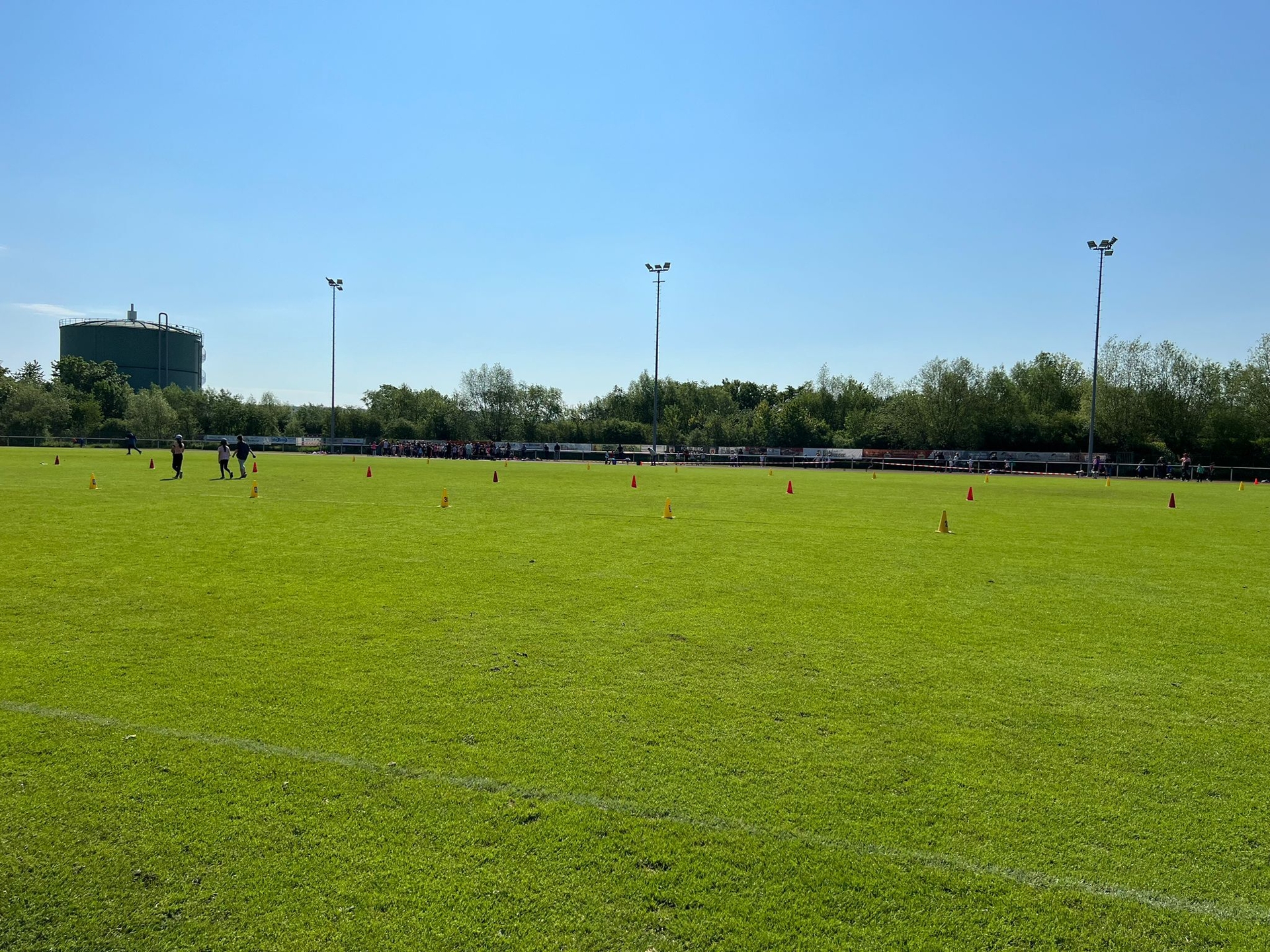 Bild: Sportfest Wiese