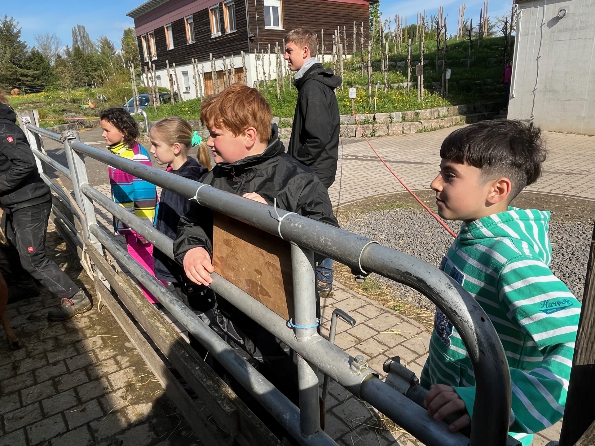Bild der Galerie
