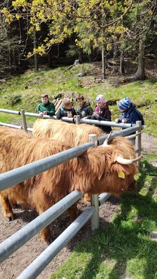 Foto des Albums: Die Klassenfahrt der 3b in das Erzgebirge