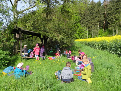 Foto des Albums: W wie Wandertag der Klasse 1b