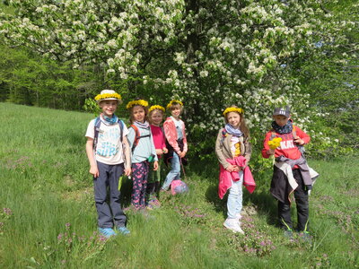 Foto des Albums: W wie Wandertag der Klasse 1b