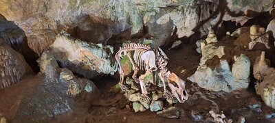 Foto des Albums: Schullandheim 2023