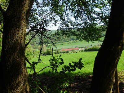 Sch&ouml;ner Weitblick.  (Bild vergr&ouml;&szlig;ern)