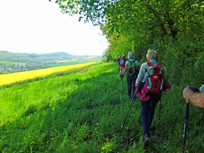 Immer am Waldrand entlang.  (Bild vergr&ouml;&szlig;ern)