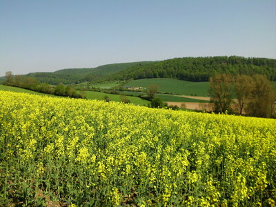 Blick zur&uuml;ck.  (Bild vergr&ouml;&szlig;ern)