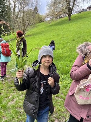 Foto des Albums: Kräutermodul2023