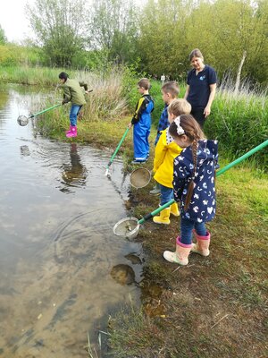 Foto des Albums: Ausflug 1b zum Wahrsmannshof (08. 05. 2023)