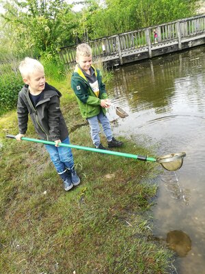 Foto des Albums: Ausflug 1b zum Wahrsmannshof (08. 05. 2023)