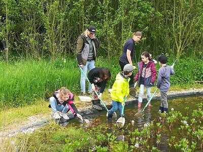 Foto des Albums: Ausflug 1b zum Wahrsmannshof (08. 05. 2023)