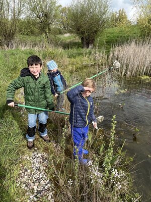 Foto des Albums: Ausflug 1a zum Wahrsmannshof (26. 04. 2023)