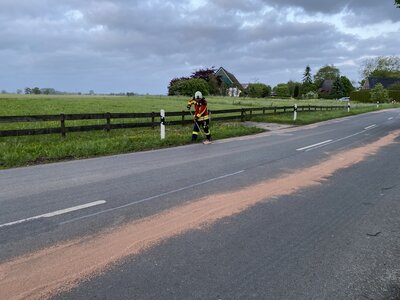 Foto des Albums: TH AUST K - Ölverunreinigungen auf der Straße