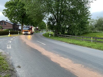 Foto des Albums: TH AUST K - Ölverunreinigungen auf der Straße