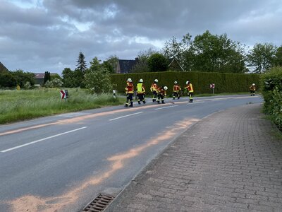 Foto des Albums: TH AUST K - Ölverunreinigungen auf der Straße