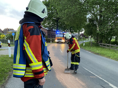 Foto des Albums: TH AUST K - Ölverunreinigungen auf der Straße
