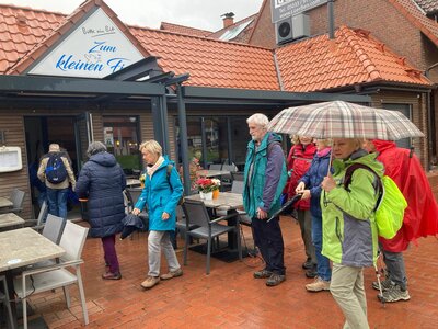 Fischbr&ouml;tchen gef&auml;llig?  (Bild vergr&ouml;&szlig;ern)