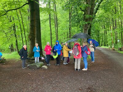 Gruppenbild und drei Regenschirme.  (Bild vergr&ouml;&szlig;ern)