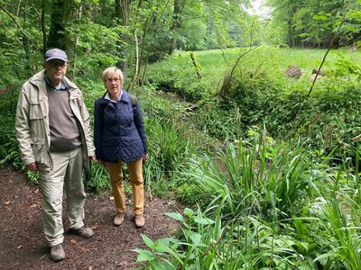 Im Walterbachtal  (Bild vergr&ouml;&szlig;ern)