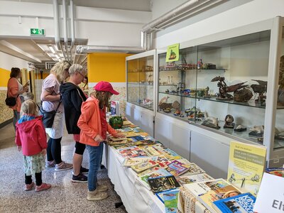 Foto des Albums: Ein märchenhafter Tag der offenen Tür